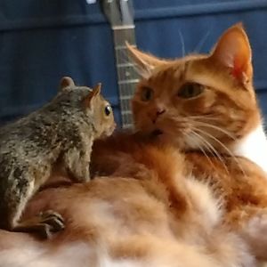 Meet your Posher, Marcus